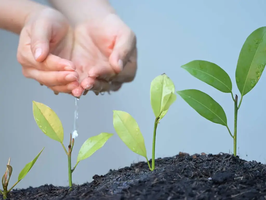 Modul 10: Ressourcenorientierung (11.-12. Juni 2027)