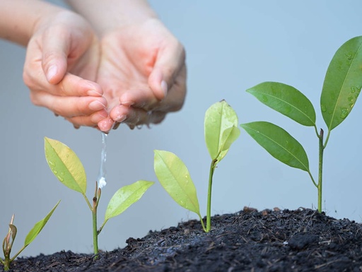 Modul 7: Ressourcenorientierte Methoden und Ansätze (Präsenz Zürich)  (Termin: 6.-7.11.26)